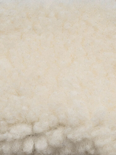 Ботинки Женские 2534266