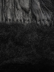 Ботинки Мужские 8614195