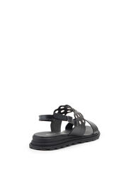 Сандалии Женские 2638125/1