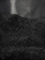 Ботинки Женские 2544010