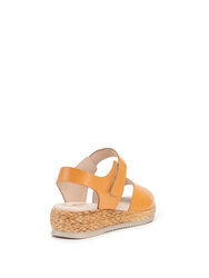 Сандалии Женские 2538025