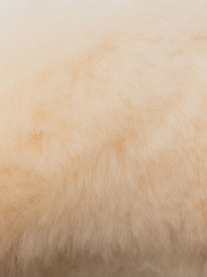 Угги Женские 8634216