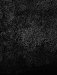 Кроссовки Мужские 2524070