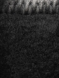 Кеды Мужские 8614125