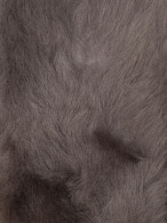 Сапоги Женские 2530275