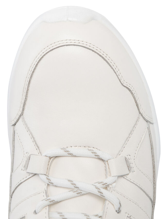 Ботинки Женские 2544011